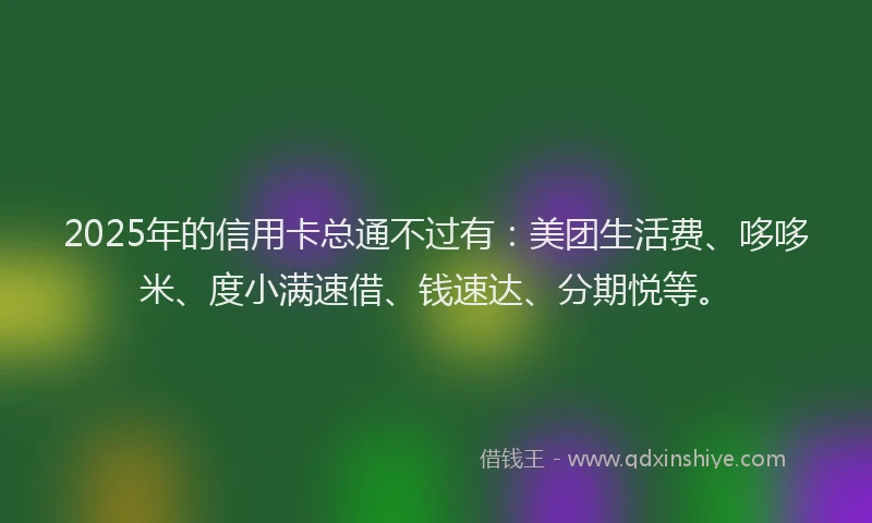 2025年的信用卡总通不过有：美团生活费、哆哆米、度小满速借、钱速达、分期悦等。