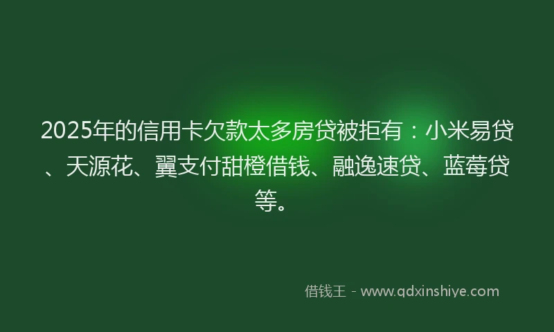 2025年的信用卡欠款太多房贷被拒有：小米易贷、天源花、翼支付甜橙借钱、融逸速贷、蓝莓贷等。