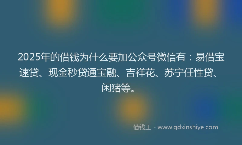 2025年的借钱为什么要加公众号微信有：易借宝速贷、现金秒贷通宝融、吉祥花、苏宁任性贷、闲猪等。