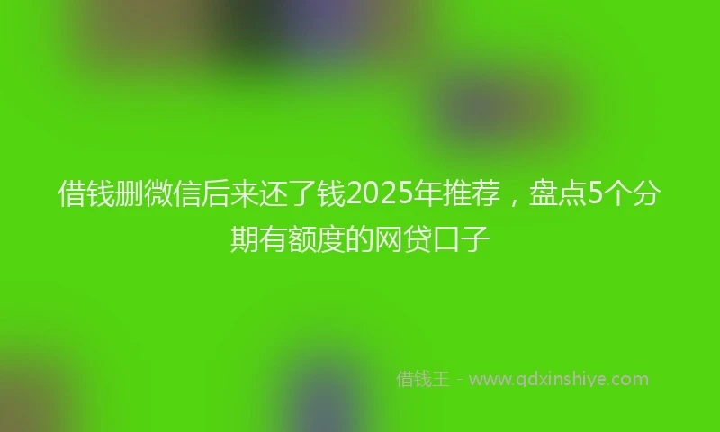 借钱删微信后来还了钱2025年推荐，盘点5个分期有额度的网贷口子
