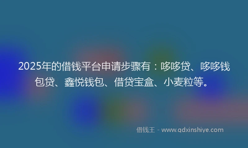 2025年的借钱平台申请步骤有：哆哆贷、哆哆钱包贷、鑫悦钱包、借贷宝盒、小麦粒等。