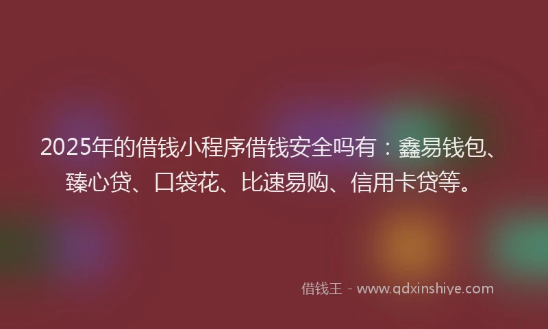2025年的借钱小程序借钱安全吗有：鑫易钱包、臻心贷、口袋花、比速易购、信用卡贷等。