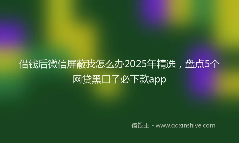 借钱后微信屏蔽我怎么办2025年精选，盘点5个网贷黑口子必下款app