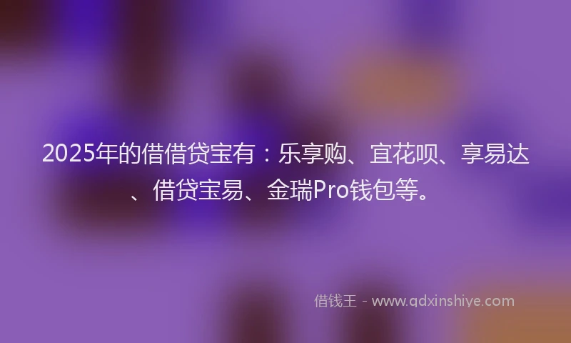 2025年的借借贷宝有：乐享购、宜花呗、享易达、借贷宝易、金瑞Pro钱包等。