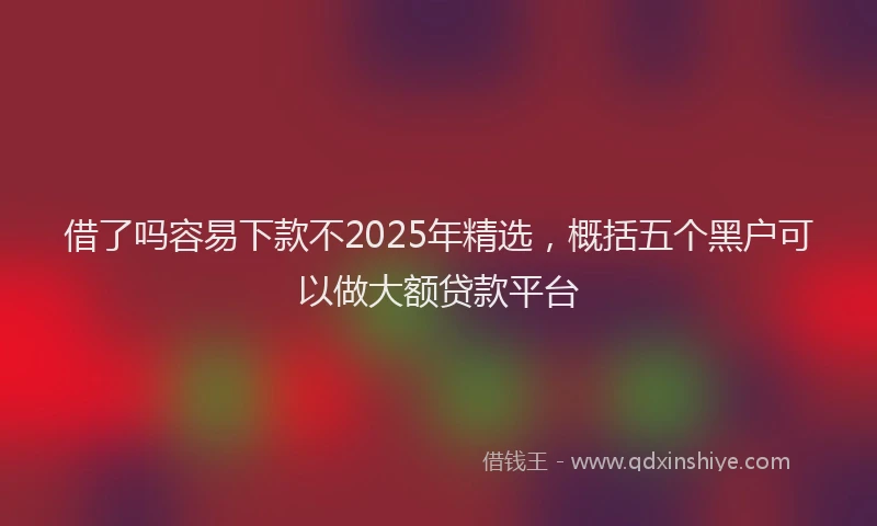 借了吗容易下款不2025年精选，概括五个黑户可以做大额贷款平台