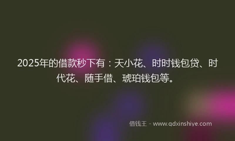 2025年的借款秒下有：天小花、时时钱包贷、时代花、随手借、琥珀钱包等。