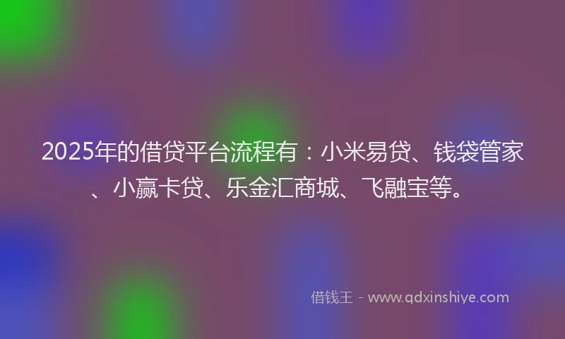 2025年的借贷平台流程有：小米易贷、钱袋管家、小赢卡贷、乐金汇商城、飞融宝等。