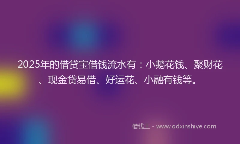 2025年的借贷宝借钱流水有：小鹅花钱、聚财花、现金贷易借、好运花、小融有钱等。