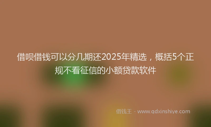 借呗借钱可以分几期还2025年精选，概括5个正规不看征信的小额贷款软件
