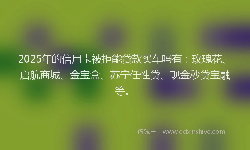 2025年的信用卡被拒能贷款买车吗有:玫瑰花、启航商城、金宝盒、苏宁任性贷、现金秒贷宝融等。
