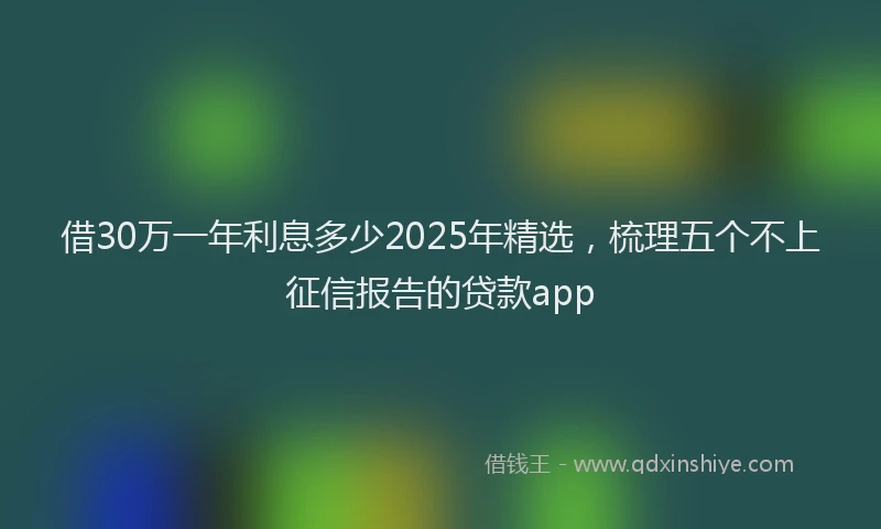 借30万一年利息多少2025年精选，梳理五个不上征信报告的贷款app