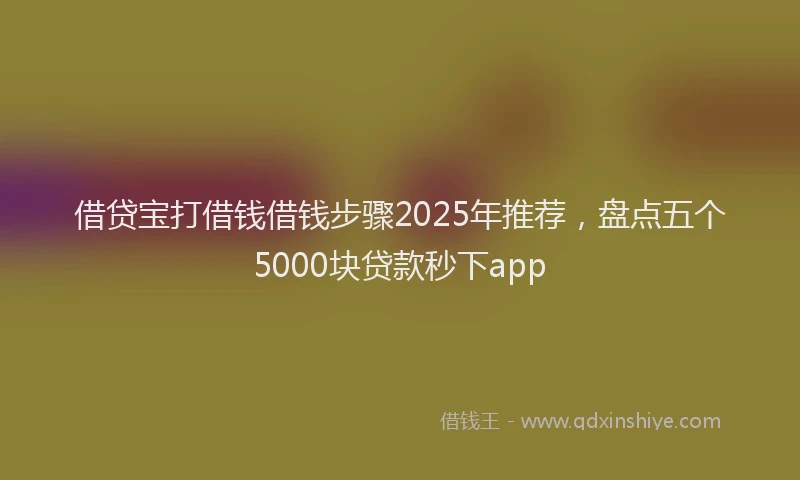 借贷宝打借钱借钱步骤2025年推荐，盘点五个5000块贷款秒下app