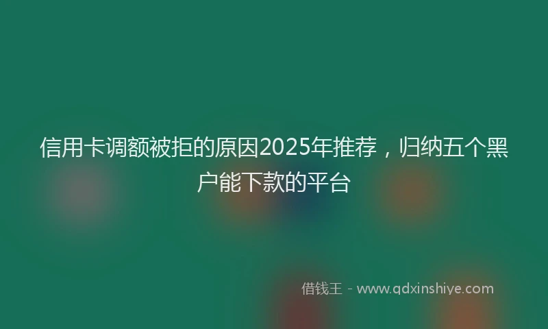 信用卡调额被拒的原因2025年推荐，归纳五个黑户能下款的平台