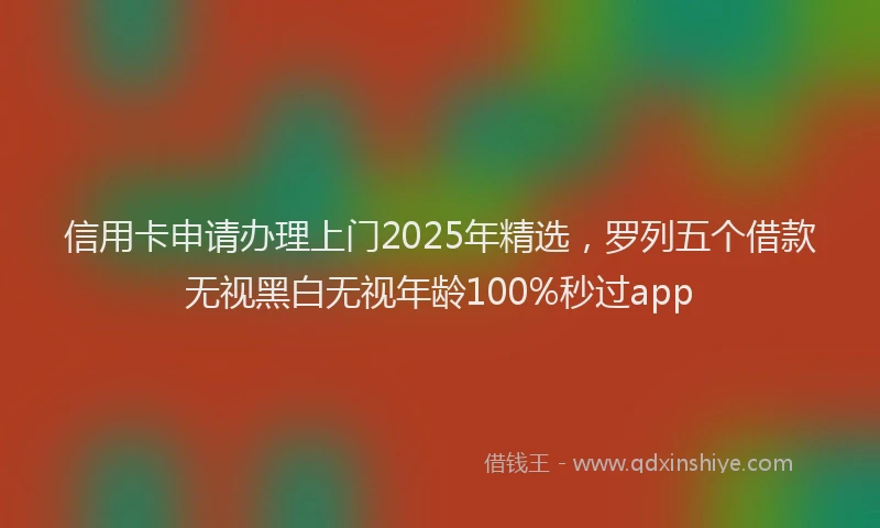 信用卡申请办理上门2025年精选，罗列五个借款无视黑白无视年龄100%秒过app
