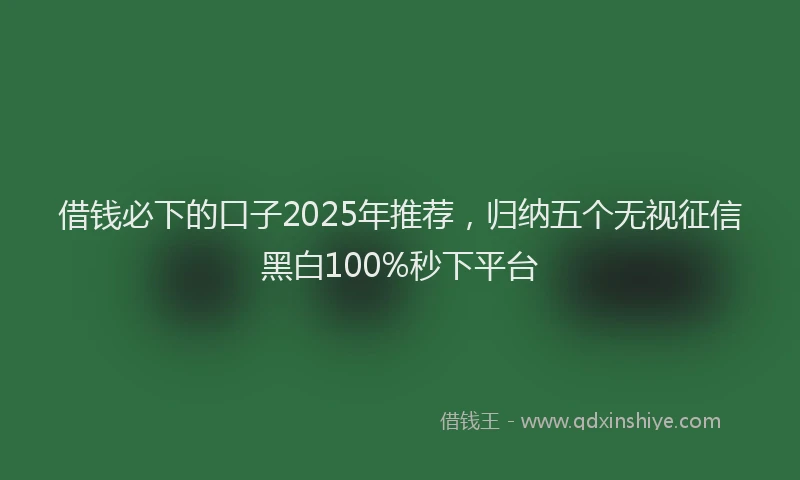借钱必下的口子2025年推荐，归纳五个无视征信黑白100%秒下平台