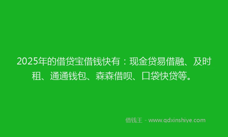 2025年的借贷宝借钱快有：现金贷易借融、及时租、通通钱包、森森借呗、口袋快贷等。