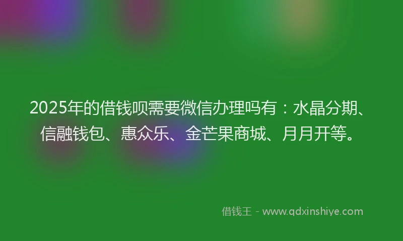 2025年的借钱呗需要微信办理吗有：水晶分期、信融钱包、惠众乐、金芒果商城、月月开等。