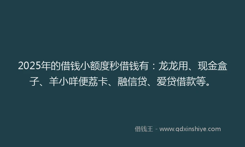 2025年的借钱小额度秒借钱有：龙龙用、现金盒子、羊小咩便荔卡、融信贷、爱贷借款等。