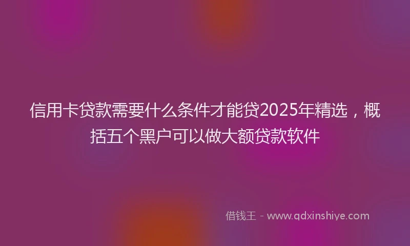 信用卡贷款需要什么条件才能贷2025年精选，概括五个黑户可以做大额贷款软件