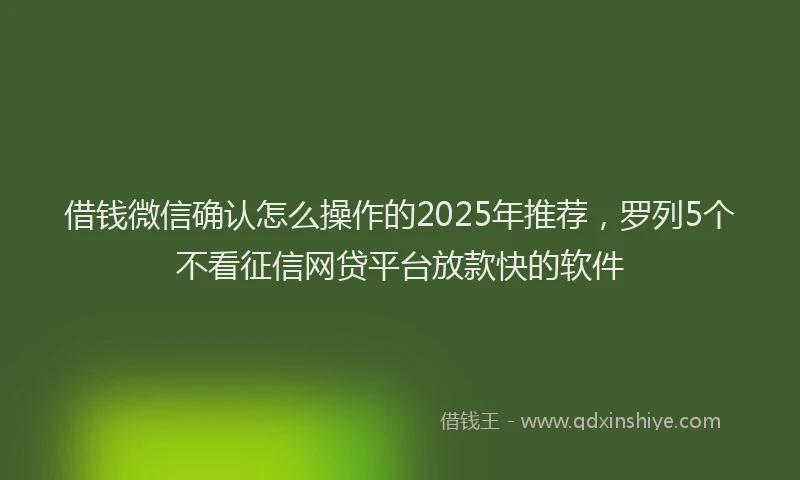 借钱微信确认怎么操作的2025年推荐，罗列5个不看征信网贷平台放款快的软件