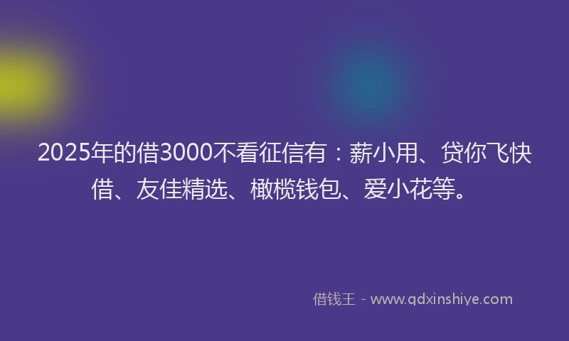 2025年的借3000不看征信有：薪小用、贷你飞快借、友佳精选、橄榄钱包、爱小花等。