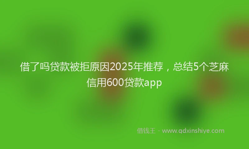借了吗贷款被拒原因2025年推荐，总结5个芝麻信用600贷款app