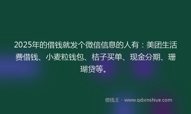 2025年的借钱就发个微信信息的人有：美团生活费借钱、小麦粒钱包、桔子买单、现金分期、珊瑚贷等。