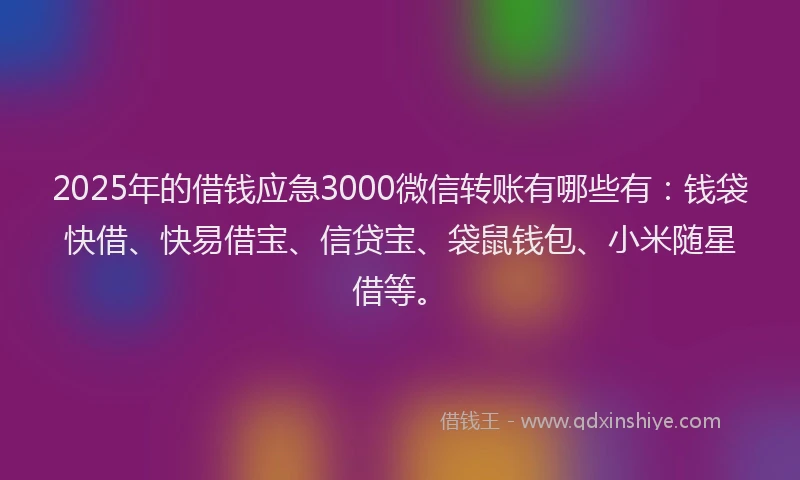 2025年的借钱应急3000微信转账有哪些有：钱袋快借、快易借宝、信贷宝、袋鼠钱包、小米随星借等。