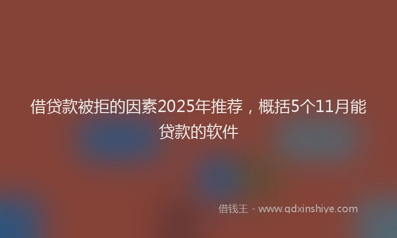 借贷款被拒的因素2025年推荐，概括5个11月能贷款的软件