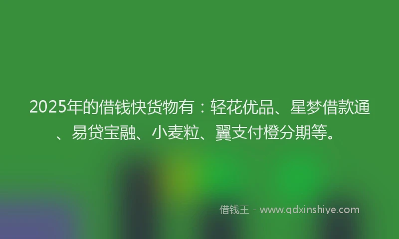2025年的借钱快货物有：轻花优品、星梦借款通、易贷宝融、小麦粒、翼支付橙分期等。