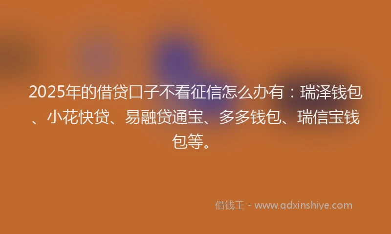 2025年的借贷口子不看征信怎么办有：瑞泽钱包、小花快贷、易融贷通宝、多多钱包、瑞信宝钱包等。