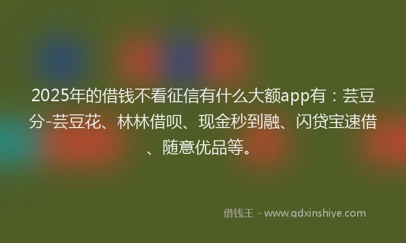 2025年的借钱不看征信有什么大额app有：芸豆分-芸豆花、林林借呗、现金秒到融、闪贷宝速借、随意优品等。