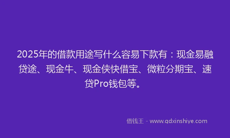 2025年的借款用途写什么容易下款有：现金易融贷途、现金牛、现金侠快借宝、微粒分期宝、速贷Pro钱包等。