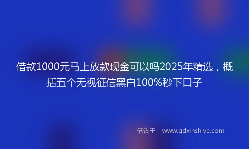 借款1000元马上放款现金可以吗2025年精选，概括五个无视征信黑白100%秒下口子
