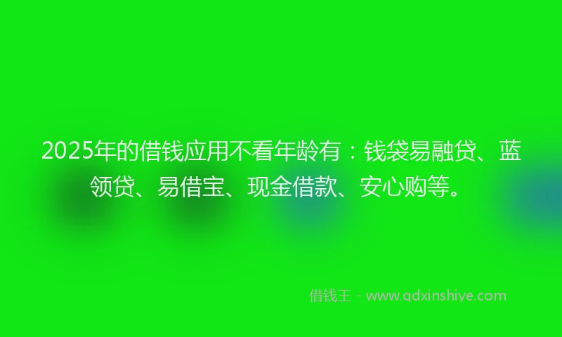 2025年的借钱应用不看年龄有：钱袋易融贷、蓝领贷、易借宝、现金借款、安心购等。