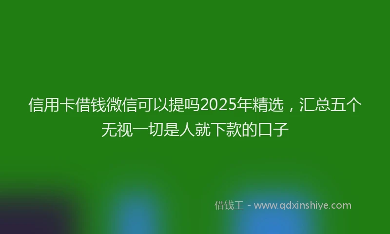 信用卡借钱微信可以提吗2025年精选，汇总五个无视一切是人就下款的口子