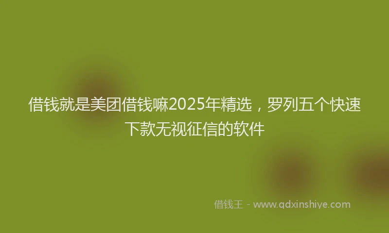 借钱就是美团借钱嘛2025年精选，罗列五个快速下款无视征信的软件