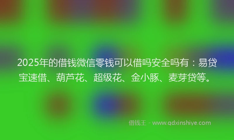 2025年的借钱微信零钱可以借吗安全吗有:易贷宝速借、葫芦花、超级花、金小豚、麦芽贷等。