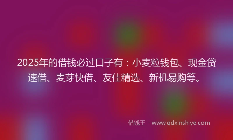 2025年的借钱必过口子有:小麦粒钱包、现金贷速借、麦芽快借、友佳精选、新机易购等。