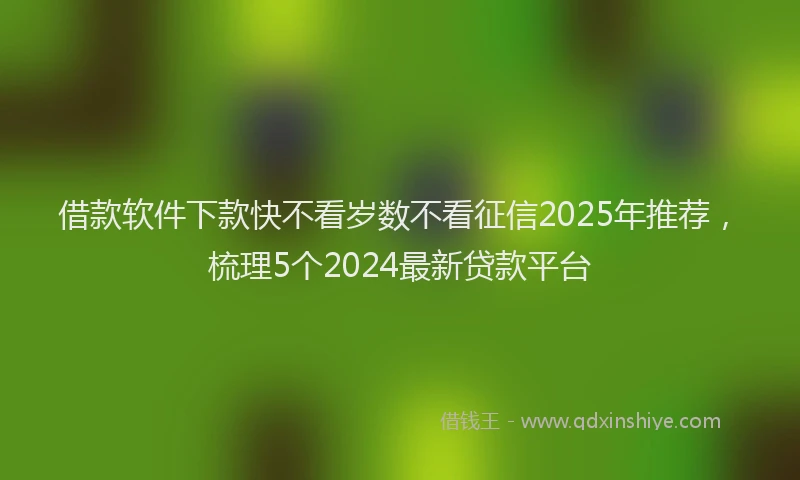 借款软件下款快不看岁数不看征信2025年推荐，梳理5个2024最新贷款平台