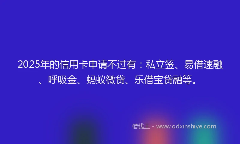 2025年的信用卡申请不过有：私立签、易借速融、呼吸金、蚂蚁微贷、乐借宝贷融等。