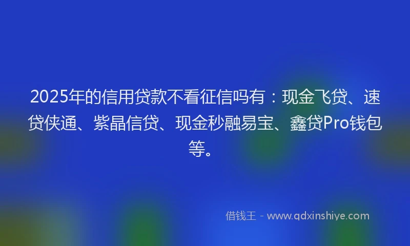 2025年的信用贷款不看征信吗有：现金飞贷、速贷侠通、紫晶信贷、现金秒融易宝、鑫贷Pro钱包等。