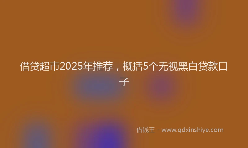 借贷超市2025年推荐，概括5个无视黑白贷款口子