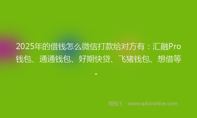 2025年的借钱怎么微信打款给对方有：汇融Pro钱包、通通钱包、好期快贷、飞猪钱包、想借等。
