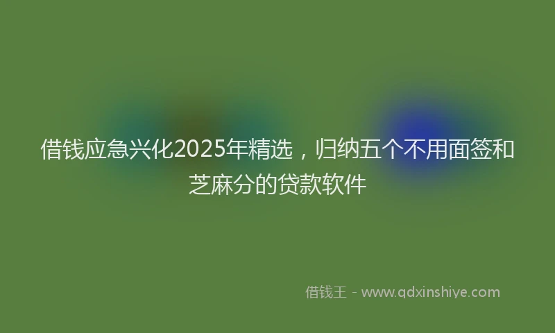 借钱应急兴化2025年精选，归纳五个不用面签和芝麻分的贷款软件