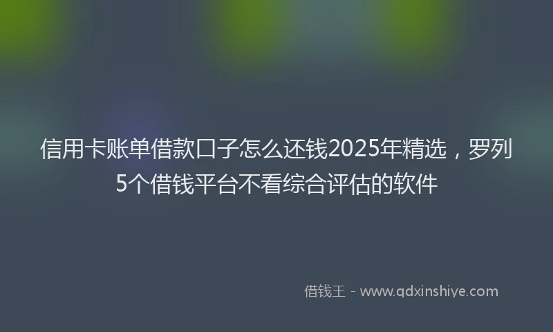 信用卡账单借款口子怎么还钱2025年精选，罗列5个借钱平台不看综合评估的软件