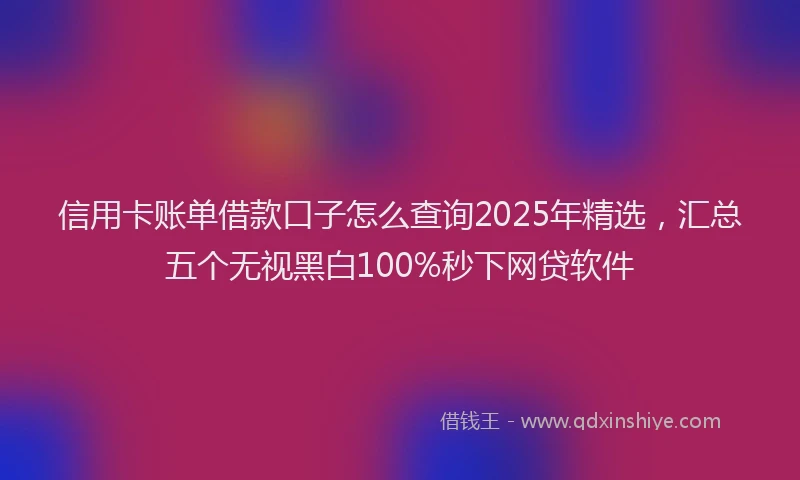 信用卡账单借款口子怎么查询2025年精选，汇总五个无视黑白100%秒下网贷软件