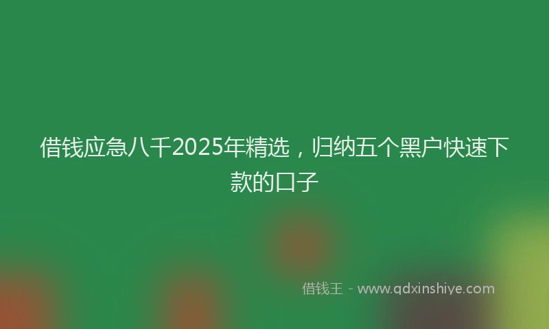 借钱应急八千2025年精选，归纳五个黑户快速下款的口子