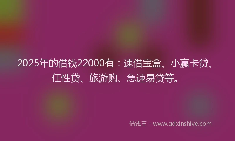 2025年的借钱22000有：速借宝盒、小赢卡贷、任性贷、旅游购、急速易贷等。