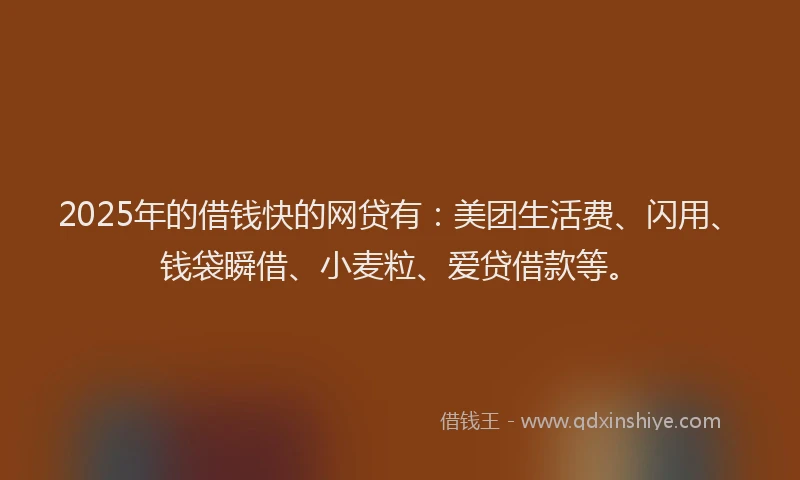 2025年的借钱快的网贷有：美团生活费、闪用、钱袋瞬借、小麦粒、爱贷借款等。